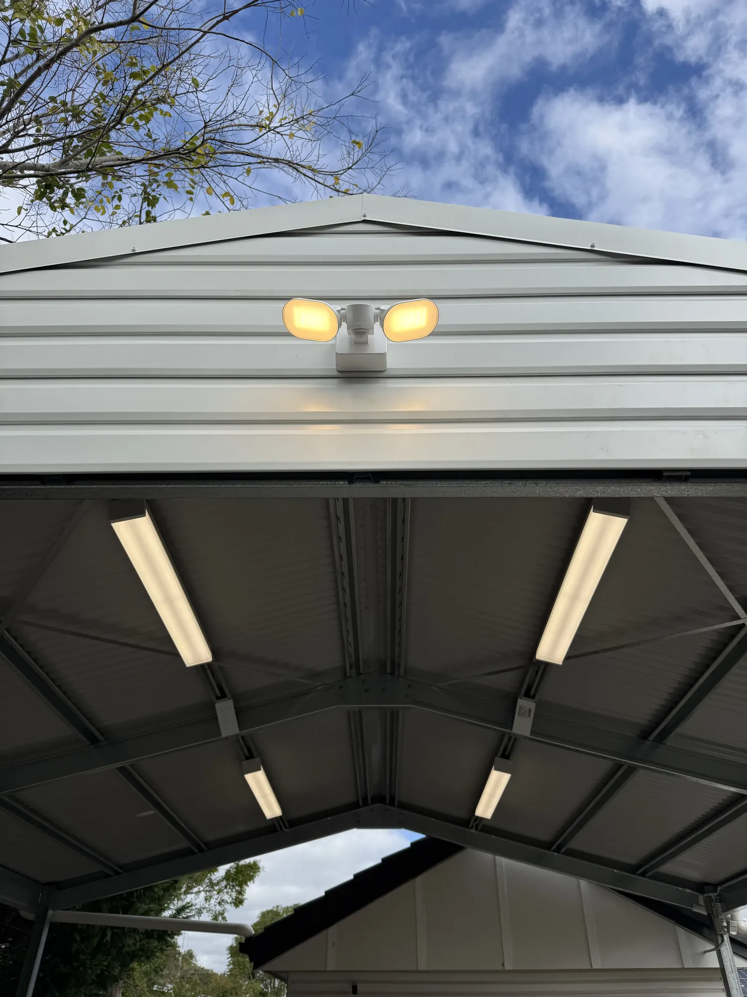 Shed fit-out, floodlights